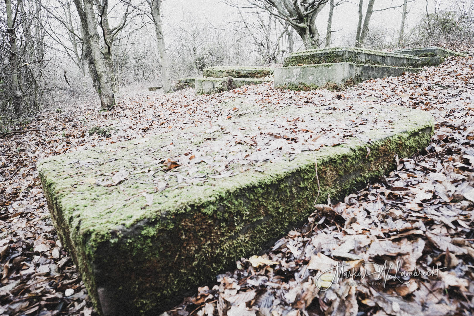 Bovenden, Jüdischer Friedhof